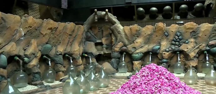 الورد الطائفي .. أيقونة تراثية تتناقلها الأجيال 