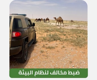 ضبط مواطن لارتكابه مخالفة رعي بمحمية الإمام تركي بن عبدالله الملكية