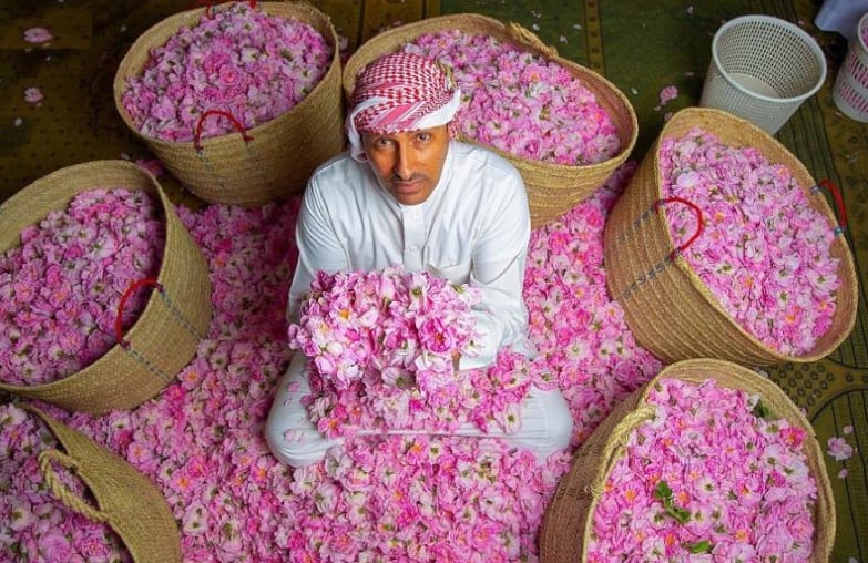 برنامج «ريف السعودية»: 960 مليون وردة حجم إنتاج الورد خلال العام الماضي