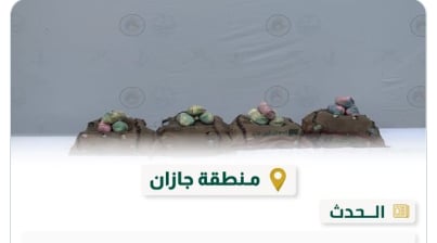 حرس الحدود بجازان يحبط تهريب 70 كيلوجرامًا من نبات القات المخدر