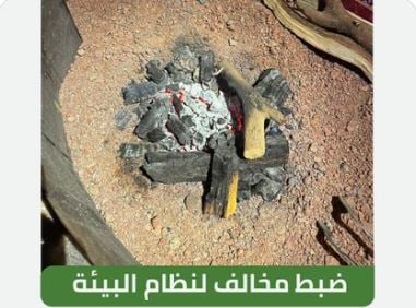 «الأمن البيئي» تضبط مخالفًا لإشعاله النار في أراضي الغطاء النباتي بمنطقة حائل