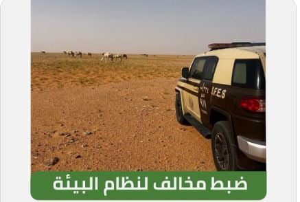 ضبط مواطن لارتكابه مخالفة رعي بمحمية الإمام عبدالعزيز بن محمد الملكية
