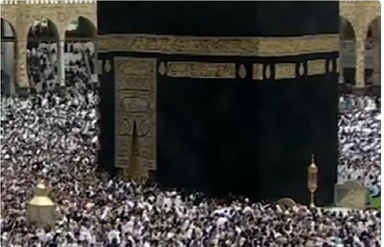 بالفيديو.. معتمرو الداخل والخارج يؤدون مناسكهم بكل راحة وسكينة 