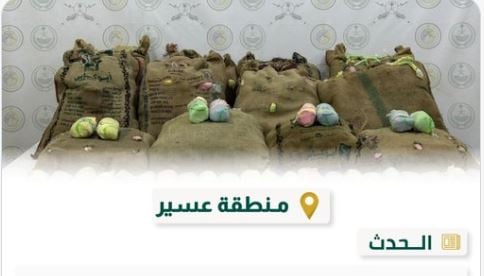 حرس الحدود بعسير يحبط تهريب 240 كيلوجراماً من نبات القات المخدر