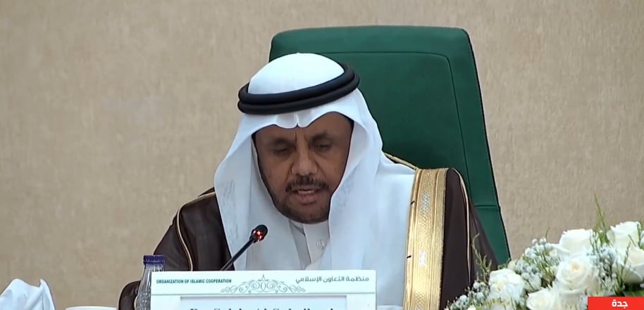 مندوب المملكة في «التعاون الإسلامي»: نحمل على عاتقنا القضية الفلسطينية بالمحافل الدولية لتحقيق حياة آمنة بغزة 