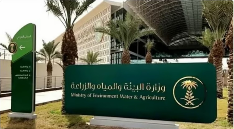 "البيئة" تطرح فرصة استثمارية لإنتاج وتسويق الخضروات والفواكه بمحافظة بحرة