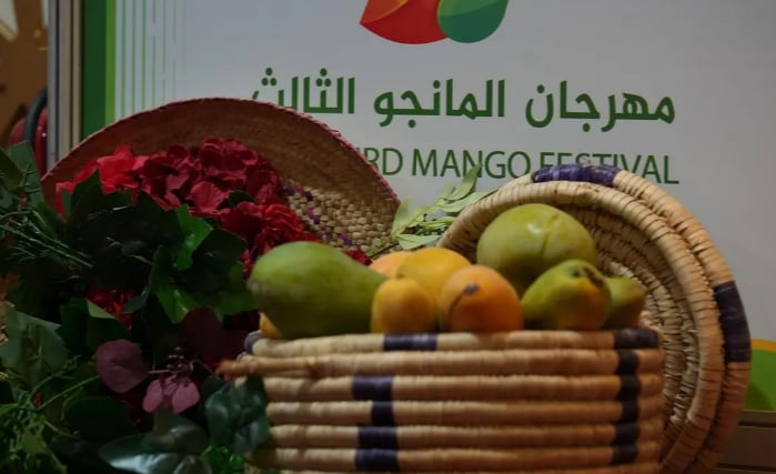 13 ألف زائر لمهرجان المانجو الثالث في أملج
