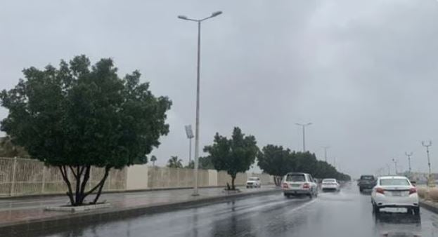 طقس المملكة الأربعاء.. فرصة مهيأة لتكوّن سحب رعدية مصحوبة برياح نشطة على عدة مناطق