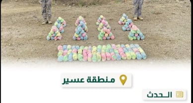 حرس الحدود بعسير يحبط تهريب 60 كيلوجرامًا من نبات القات المخدر