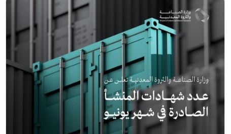 وزارة الصناعة تصدر أكثر من 31 ألف «شهادة منشأ» خلال يونيو الماضي