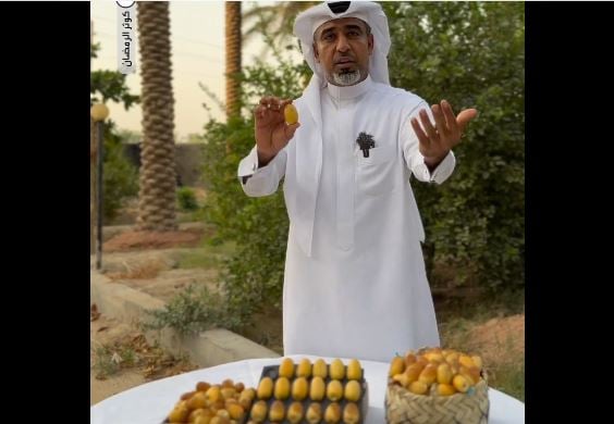 بالفيديو.. مزارع بمحافظة الأحساء ينجح في إنتاج رطب من نوع «الخلاص» بأحجام كبيرة 