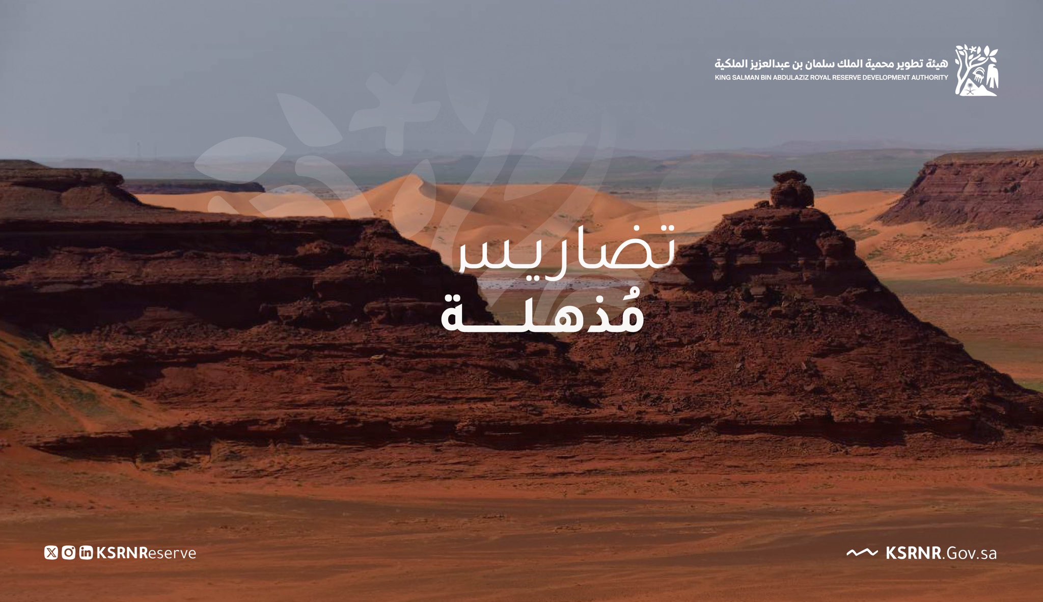 يعود بعضها لثمانية آلاف سنة قبل الميلاد.. معالم فريدة تحتضنها محمية «سلمان الملكية»