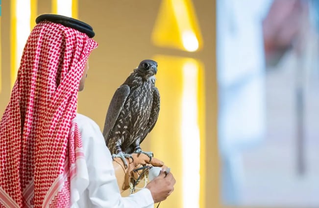 بيع 3 صقور بـ 122 ألف ريال في الليلة الرابعة لمنصة المزاد الدولي