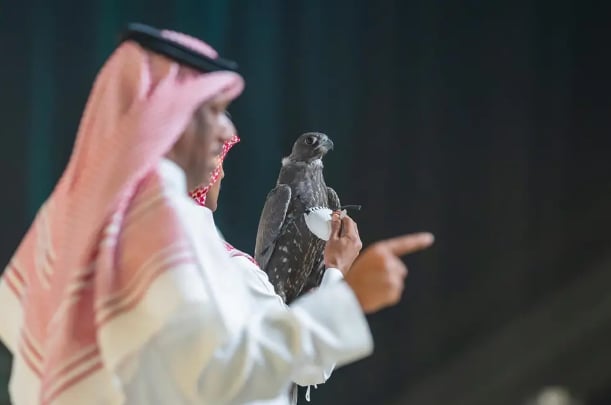  بيع صقرين بـ 109 آلاف ريال في الليلة الثامنة للمزاد الدولي لمزارع إنتاج الصقور