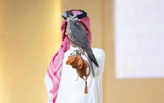  مزرعة بريطانية تبيع 4 صقور بربع مليون ريال في الليلة العاشرة لمنصة المزاد الدولي 
