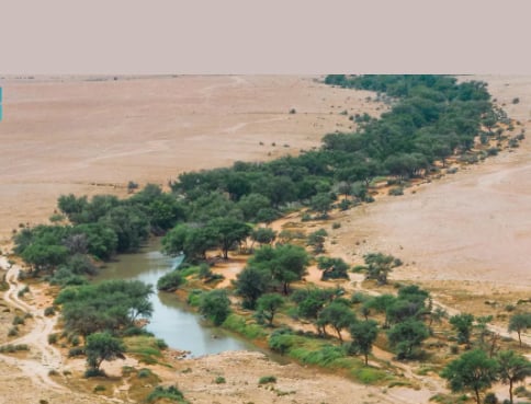 محمية الملك عبدالعزيز الملكية تحظر الصيد ضمن نطاقها