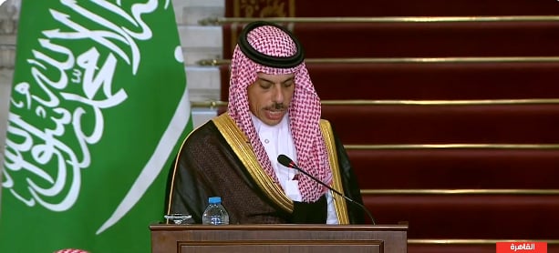 وزير الخارجية: واثقون في الاقتصاد المصري ونطمح لتنمية التبادل التجاري