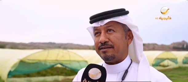 مزارع يروي قصة نجاحه بزراعة «زهور القطف» في خميس مشيط (فيديو)