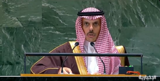 وزير الخارجية: الحاجة لإصلاح المؤسسات الدولية تظهر عبر الفشل في إنهاء الكارثة بفلسطين