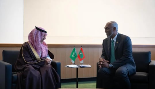 رئيس المالديف يلتقي وزير الخارجية ويبحثان العلاقات الثنائية بين البلدين