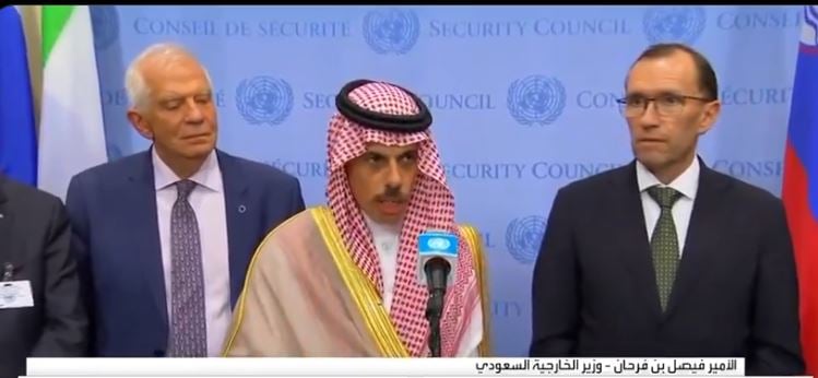 بالفيديو.. وزير الخارجية: تحالف إقامة الدولة الفلسطينية نتاج جهد أوروبي وعربي مشترك