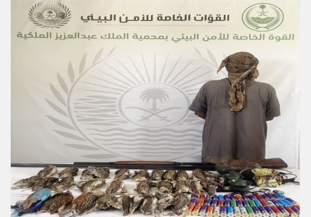 «الأمن البيئي» تقبض على مخالف لنظام البيئة لارتكابه الصيد بمحمية «عبدالعزيز الملكية»