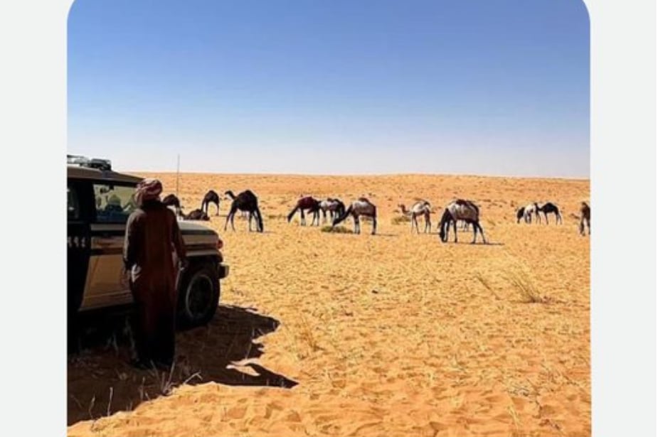 ضبط مواطن لارتكابه مخالفة رعي بمحمية الإمام عبدالعزيز بن محمد الملكية