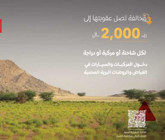 «الغطاء النباتي»: 2000 ريال غرامة دخول المركبات في الفياض والروضات البرية المحمية