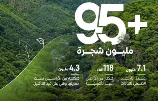 «الغطاء النباتي»: زراعة أكثر من 95 مليون شجرة في أنحاء المملكة منذ إطلاق مبادرة السعودية الخضراء