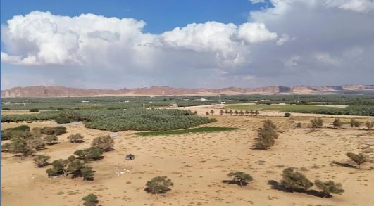 أمطار على أجزاء من محافظتي العُلا وطريف