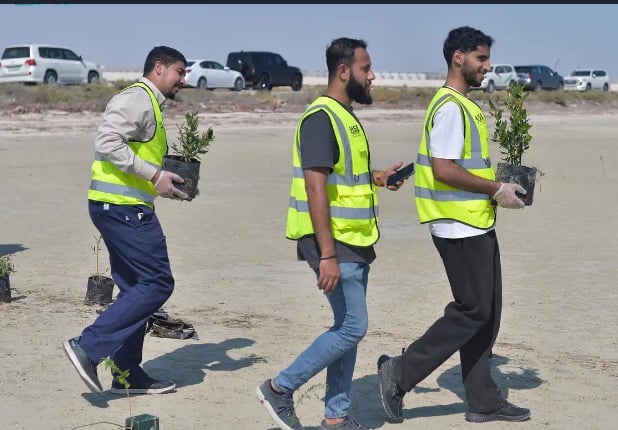 تدشين مبادرة زراعة 100 ألف شجرة مانجروف بالقطيف