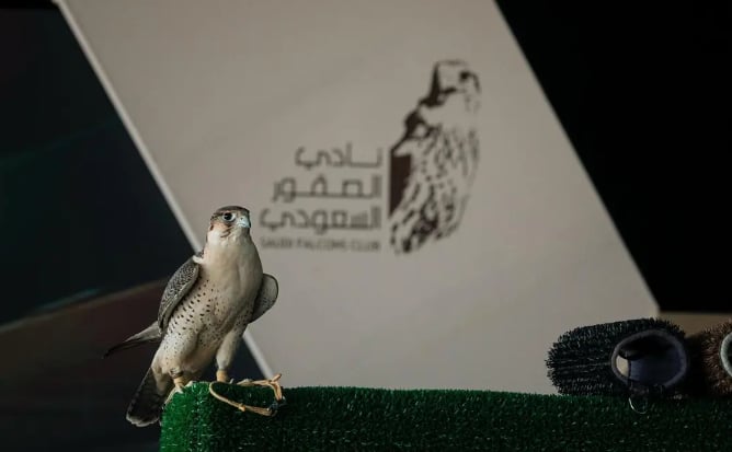تنافس مثير بين الصقارين في منافسات اليوم السادس من كأس نادي الصقور