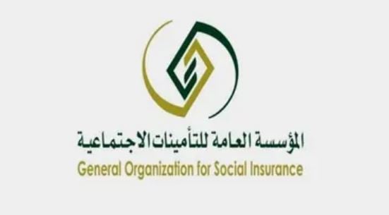 هل يحق للموظف الحكومي العمل بوظيفة أخرى في القطاع الخاص؟.. التأمينات تجيب