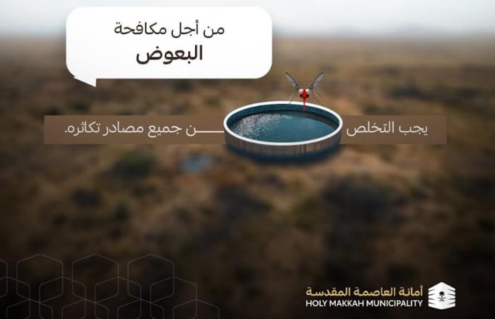 أمانة العاصمة المقدسة تباشر 557 بلاغًا لمكافحة البعوض الناقل لحمى الضنك