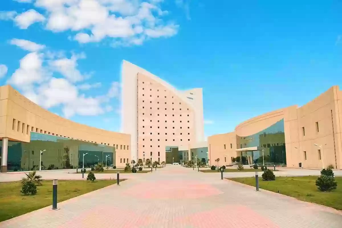 التقديم بدأ اليوم.. تفاصيل وظائف جامعة نجران 1446  والتخصصات المطلوبة


