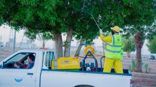 أمانة تبوك تنفذ أكثر من 2800 جولة إصحاح بيئي خلال 2024