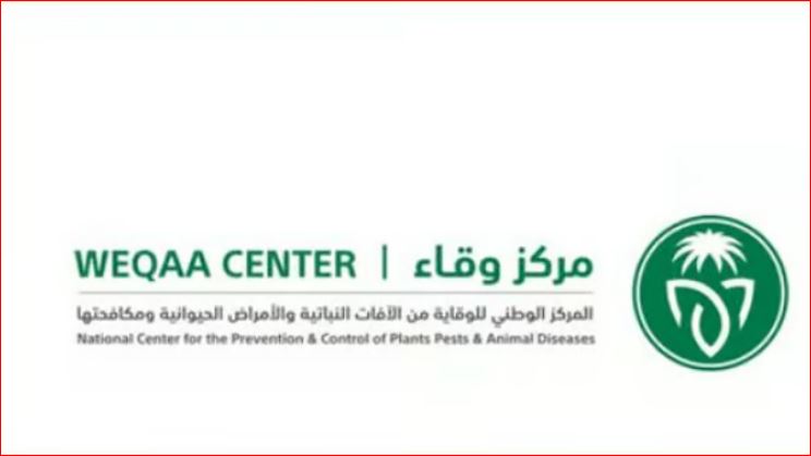 مركز وقاء بمكة المكرمة يكثف جهوده لمكافحة نواقل الأمراض عقب الحالة المطرية