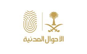 «الأحوال المدنية» تنفذ 538 ألف عملية إلكترونية في ديسمبر الماضي عبر «أبشر»