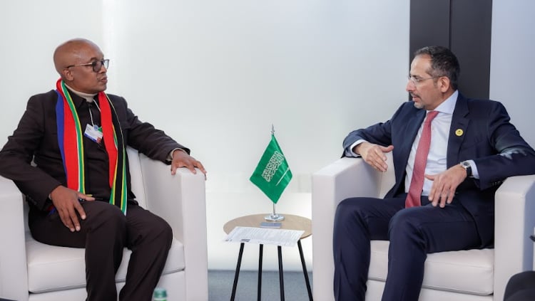 وزير الصناعة يبحث تعزيز التعاون مع جنوب أفريقيا وحكومة ولاية تاميل نادو الهندية