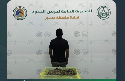 الدوريات الساحلية بعسير تضبط مقيما لممارسته الصيد بدون تصريح