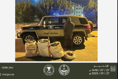 ضبط مخالف لنظام البيئة بحوزته حطب محلي معروض للبيع بالمنطقة الشرقية