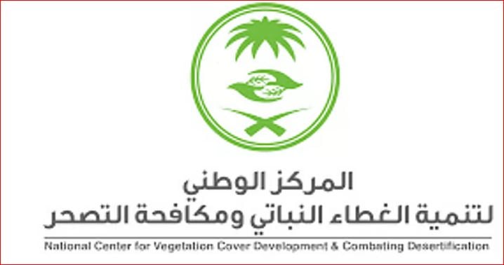 «الغطاء النباتي» يطرح فرصًا استثمارية لإعادة تدوير الحطب المسترد