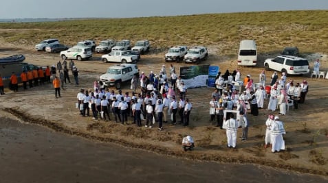 حرس الحدود يشارك في مبادرة تأهيل غابات المانجروف احتفاءً بيوم الأراضي الرطبة