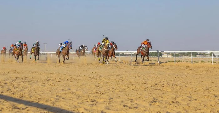 ميدان الفروسية بالأحساء ينظم شوط الفارسات لسباق السرعة في نسخته الثانية 