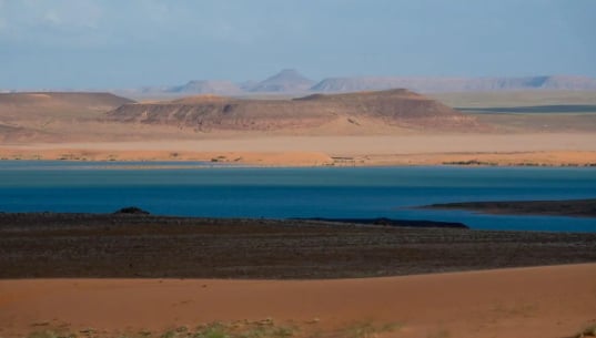 الأراضي الرطبة.. نظم بيئية حيوية بأنواع مختلفة بمحمية الملك سلمان الملكية