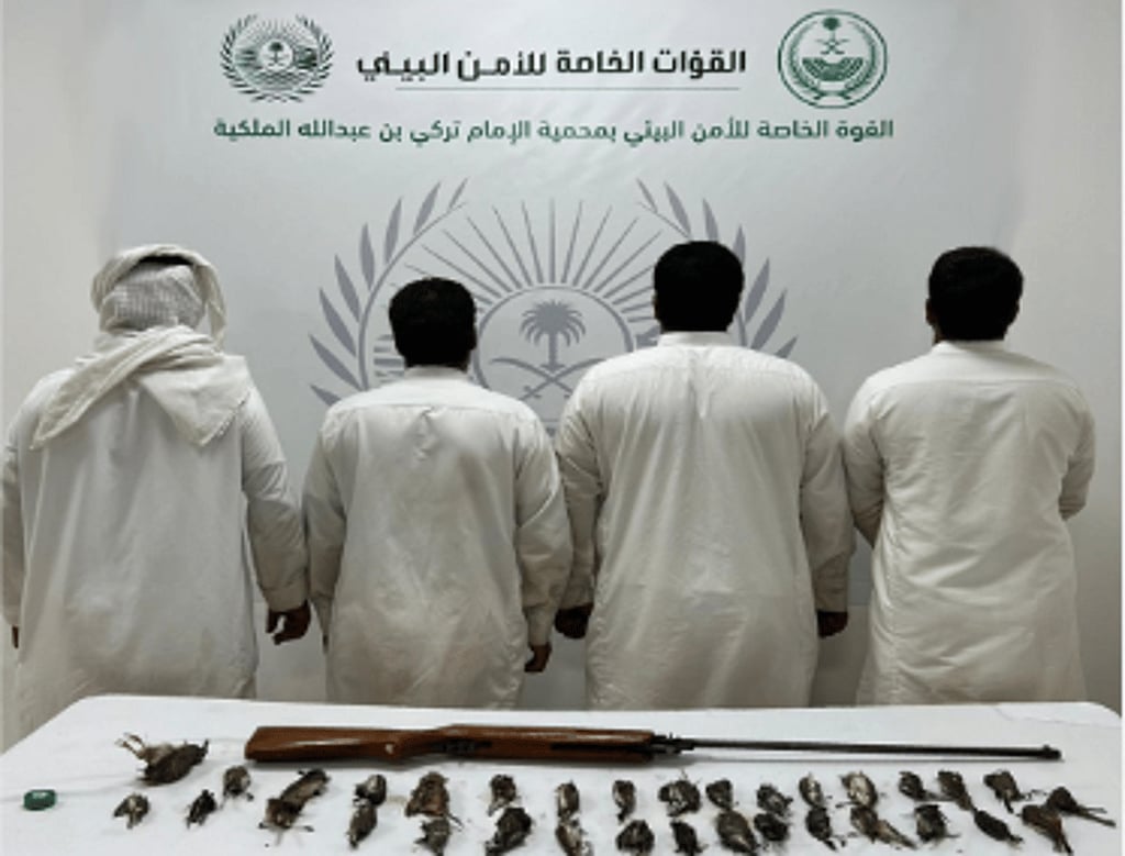 ضبط 4 مخالفين لنظام البيئة بمحمية «تركي الملكية» ومنطقة المدينة المنورة