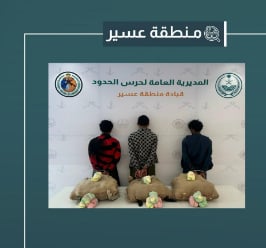 القبض على 3 مخالفين لتهريبهم 66 كيلوجرامًا من القات المخدر بعسير 