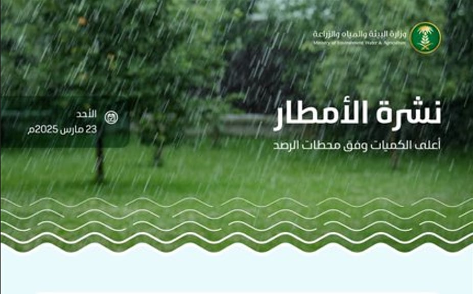 «البيئة»: وادي الدواسر بالرياض تُسجّل أعلى كمية هطول أمطار بـ31.0 ملم