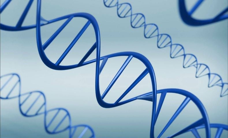 «كاوست» توثق الخطوات الأولى لتفكك الحمض النووي DNA