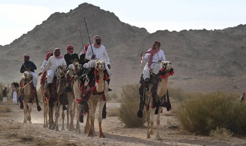 "الهجانة" يحيون تقاليد العيد في بادية تبوك على أنغام الهجيني